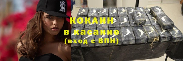 винт Няндома