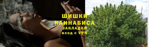амф Нязепетровск