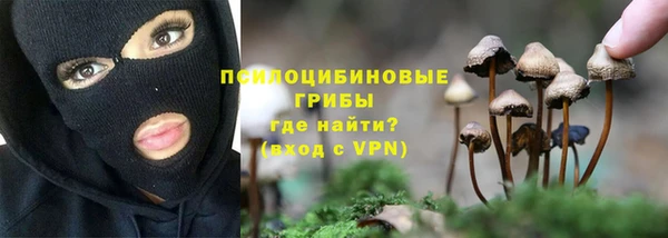 амф Нязепетровск