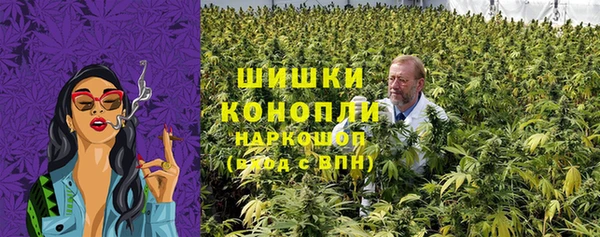 винт Няндома