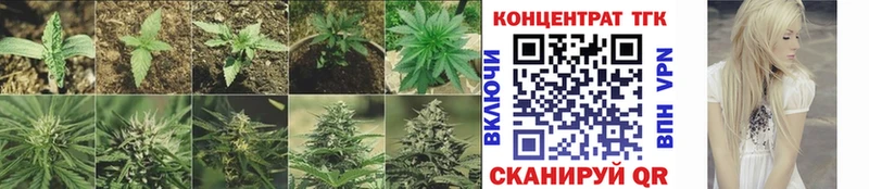 как найти   Серафимович  Дистиллят ТГК вейп 