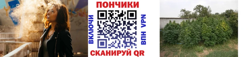 Каннабис SATIVA & INDICA  купить  цена  Серафимович 
